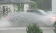 Flood In Olympia
