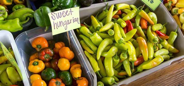 The storecupboard organic essentials you need